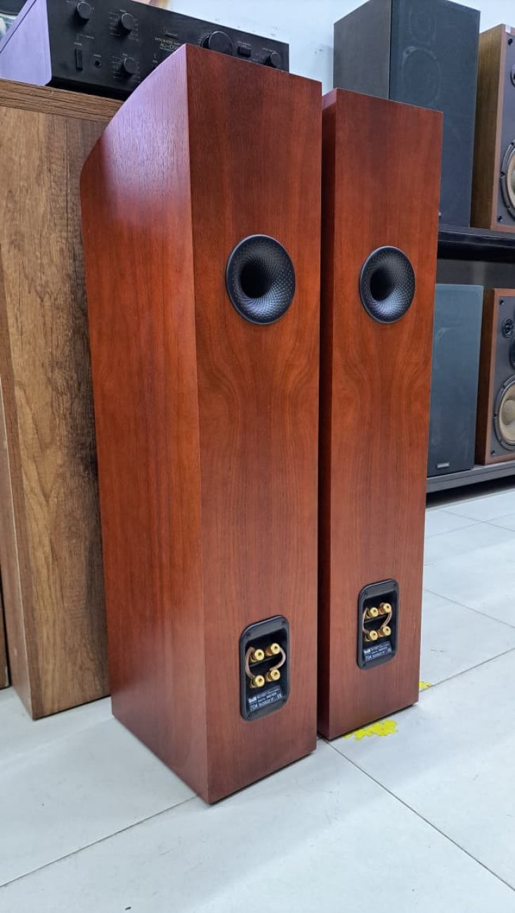 BOWERS & WILKINS MODELO 704