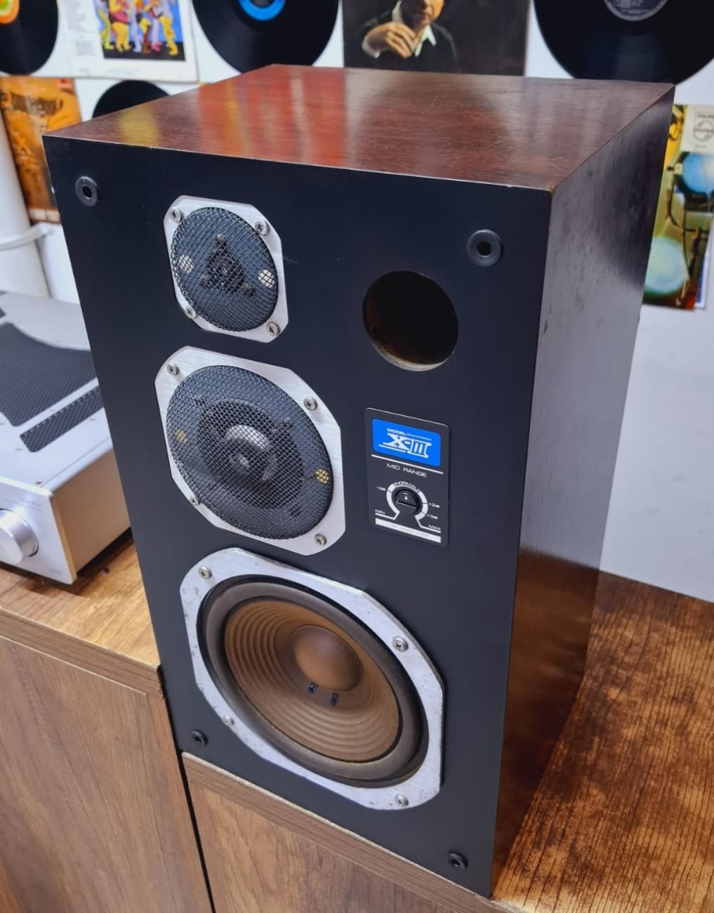 CORAL MODELO X-III