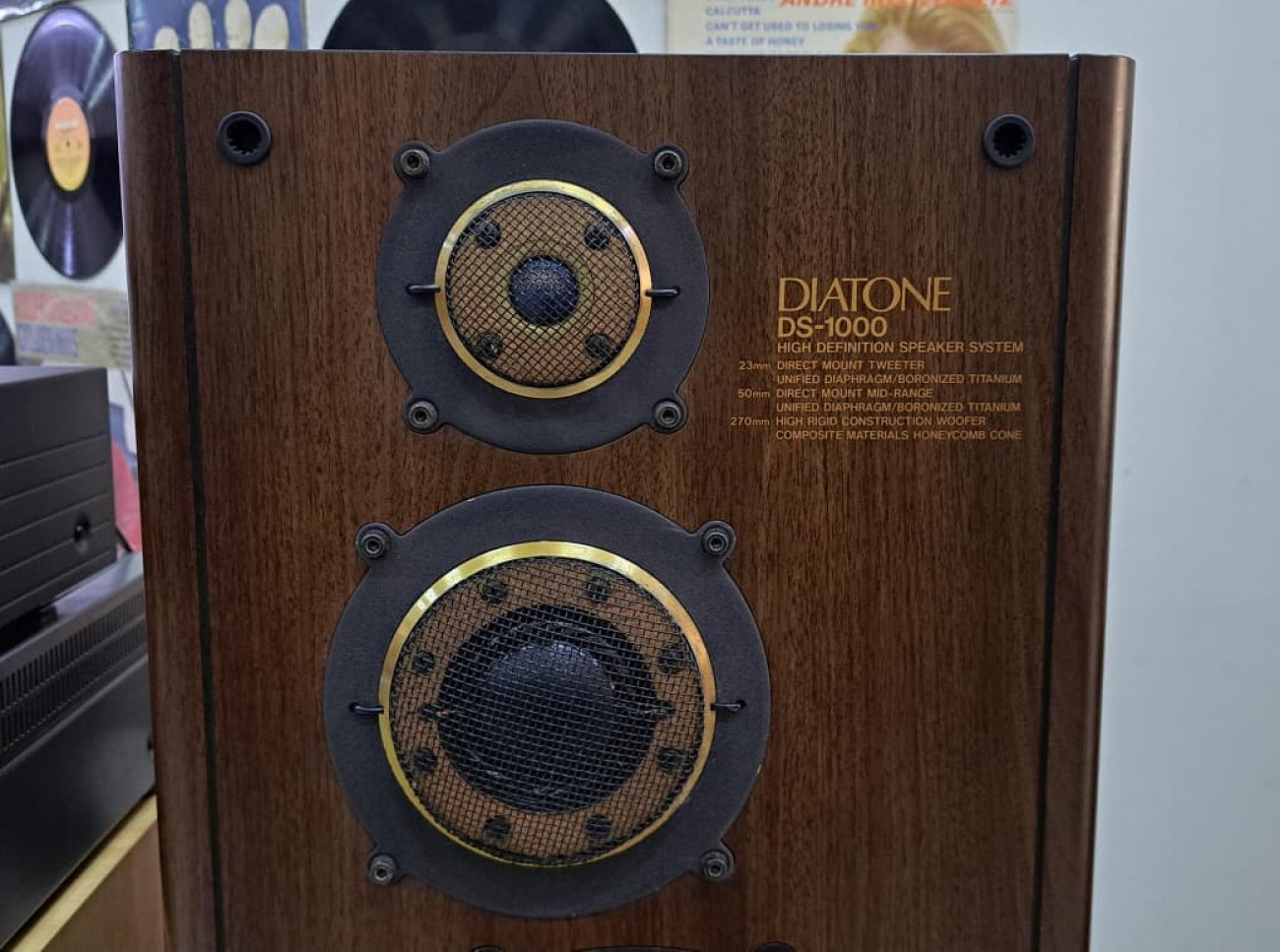 DIATONE MODELO DS-1000