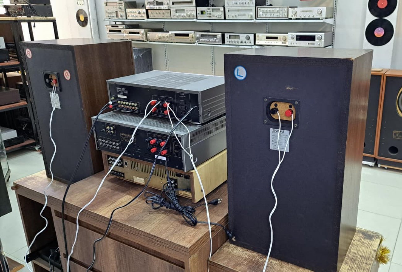 DIATONE MODELO DS-1000