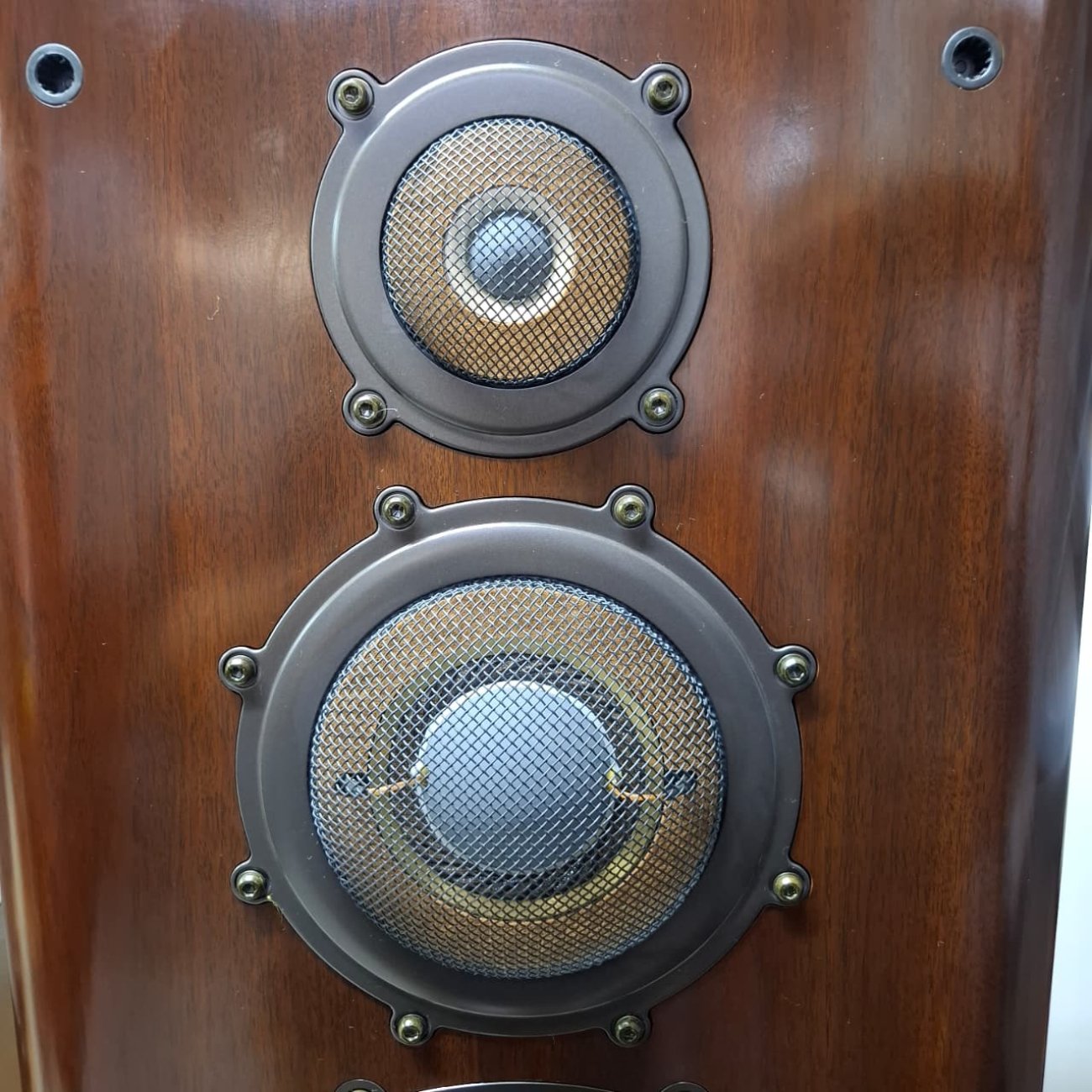 DIATONE MODELO DS-1000ZA