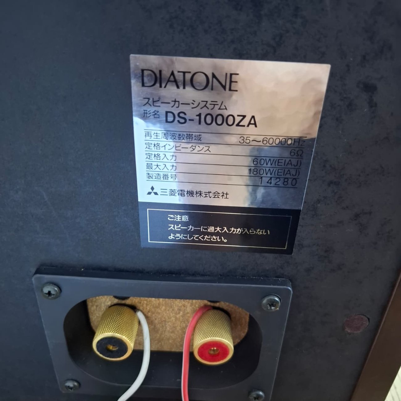 DIATONE MODELO DS-1000ZA