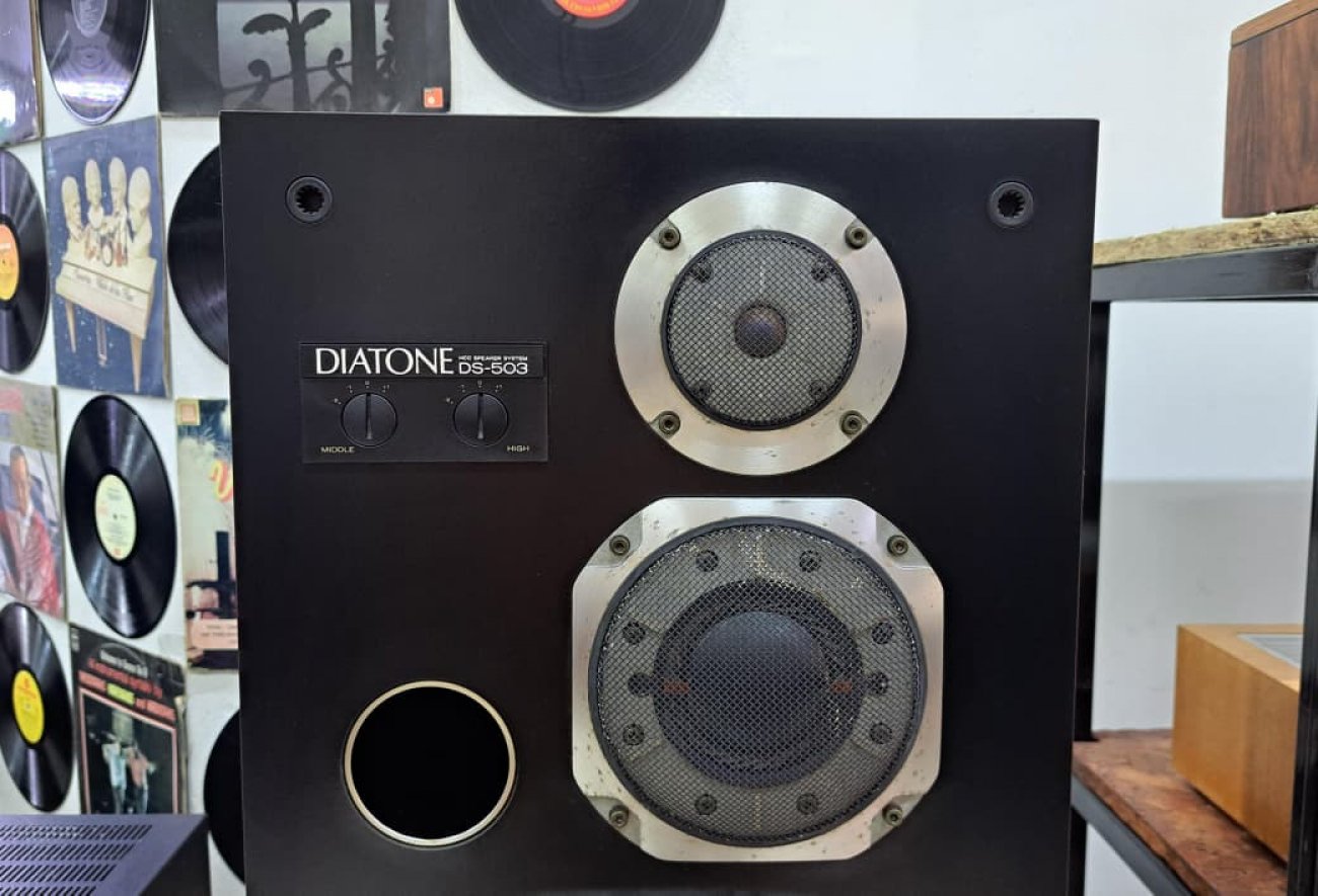 DIATONE MODELO DS-503 