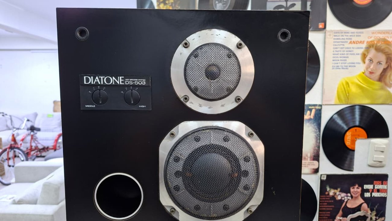 DIATONE MODELO DS-503 