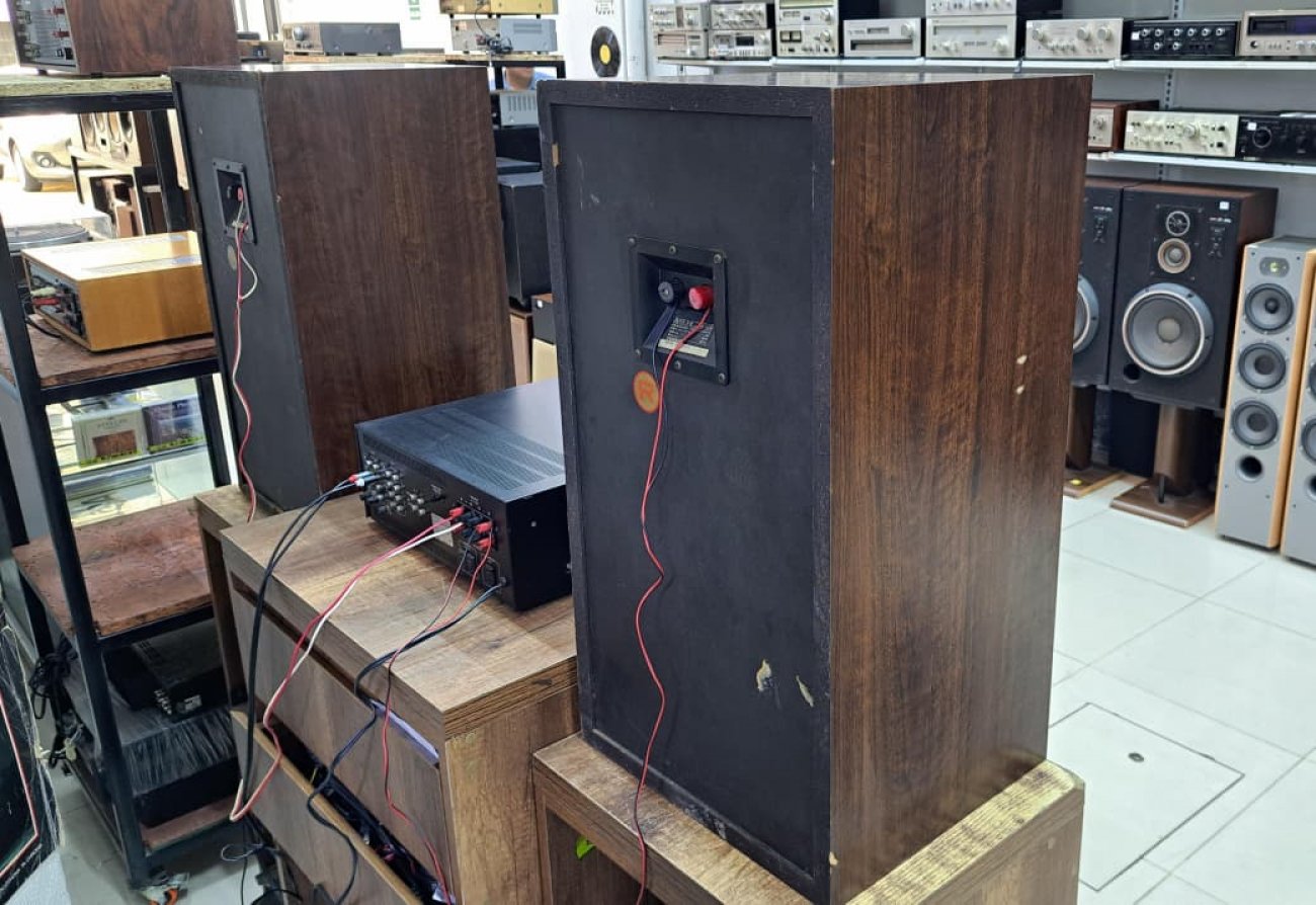 DIATONE MODELO DS-503 