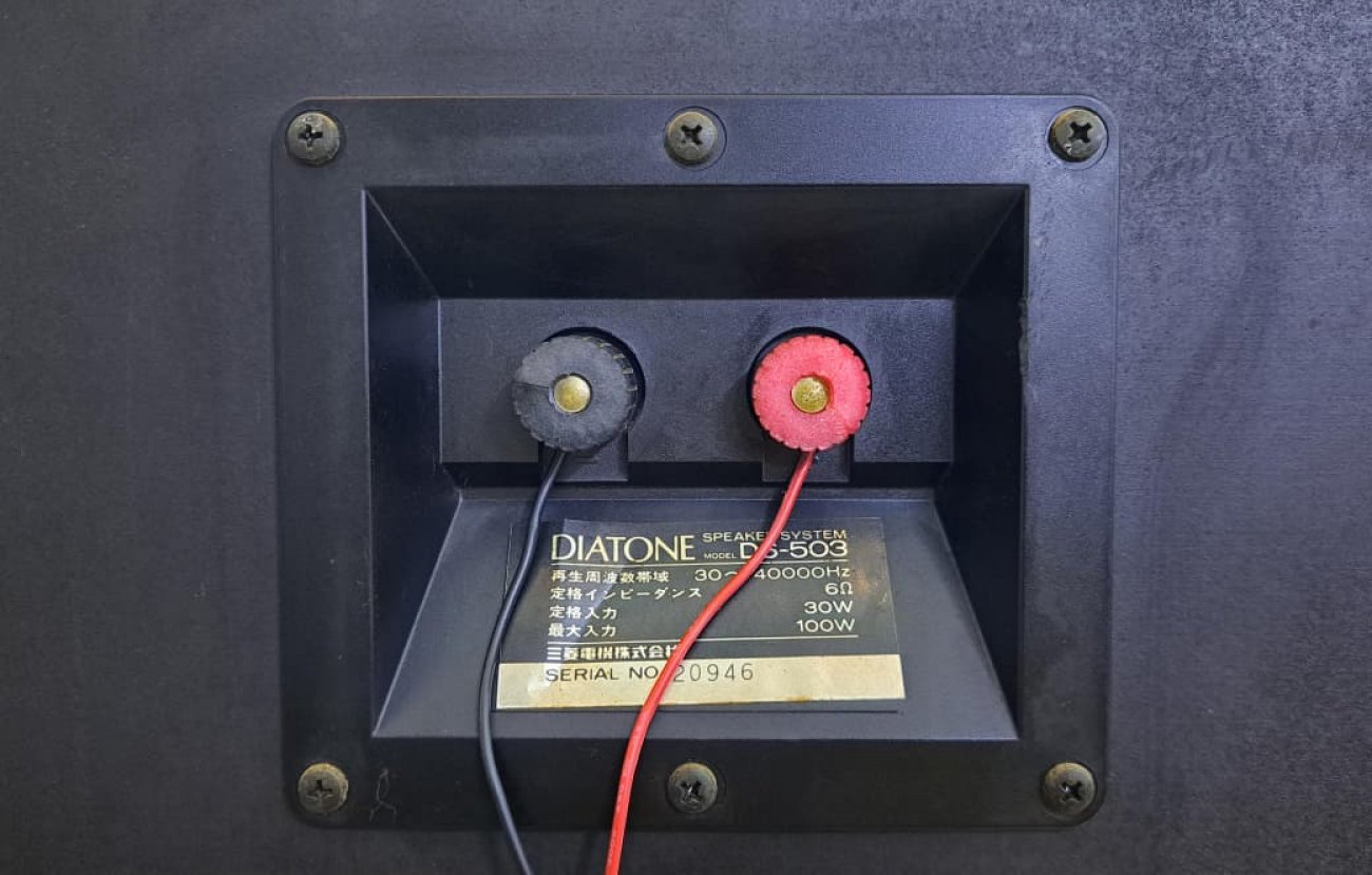 DIATONE MODELO DS-503 