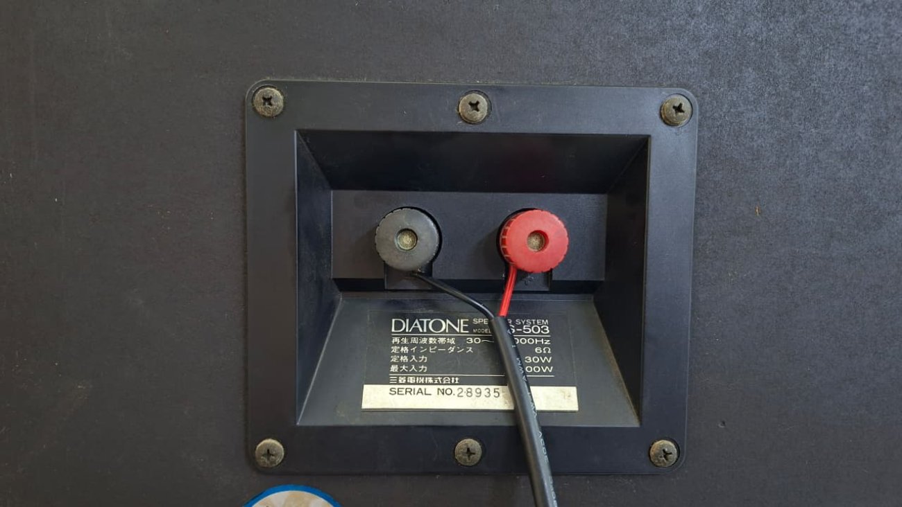 DIATONE MODELO DS-503 