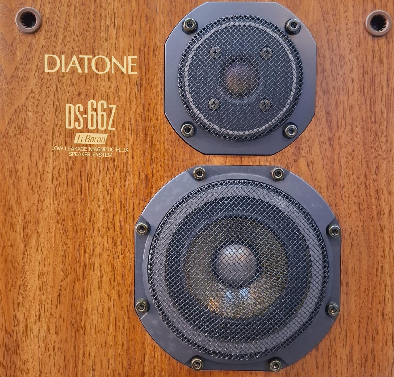 DIATONE MODELO DS-66Z Ti-Boron