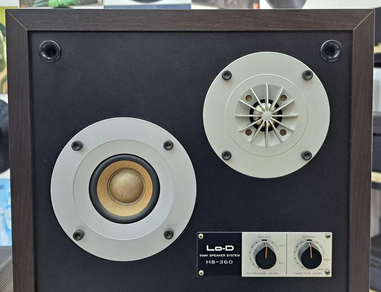 Lo-D HITACHI MODELO HS-360