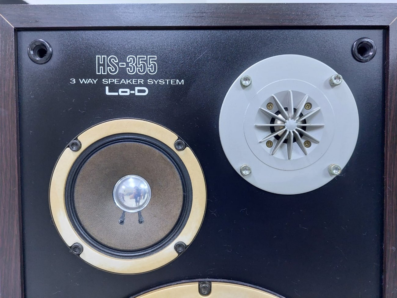 Lo-D MODELO HS-355