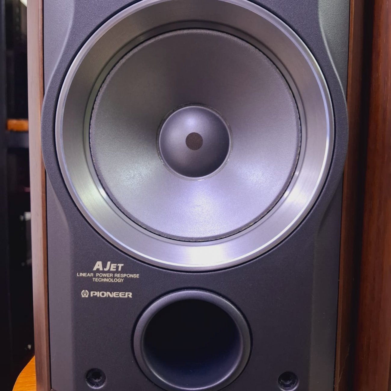 PIONEER MODELO S-F21