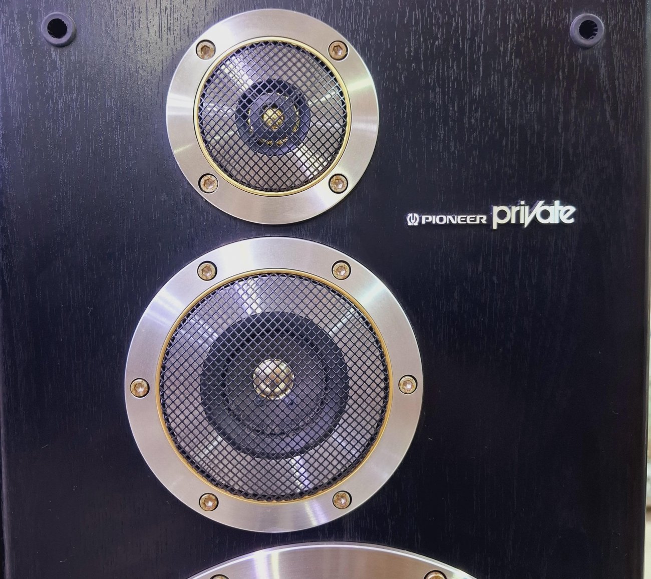 PIONEER MODELO S-X640V PRIVATE