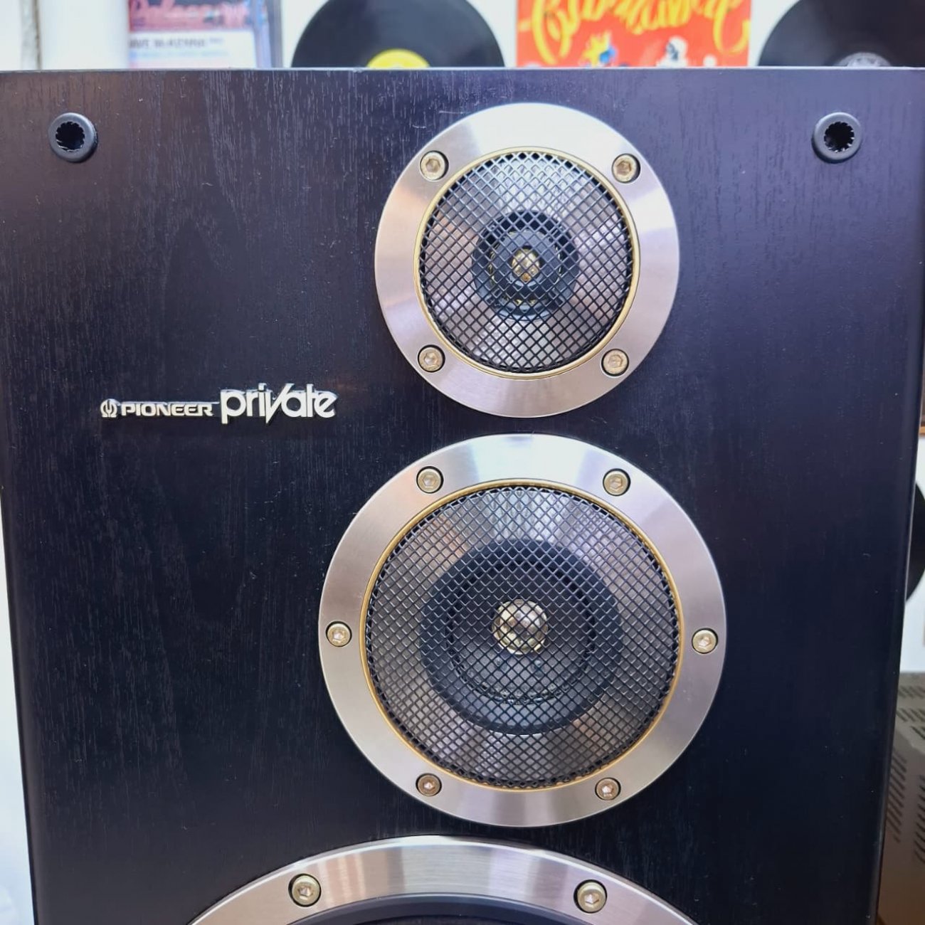 PIONEER MODELO S-X640V PRIVATE