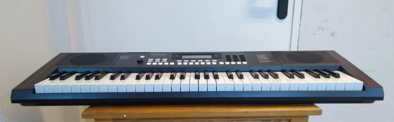 ROLAND MODELO E-X10