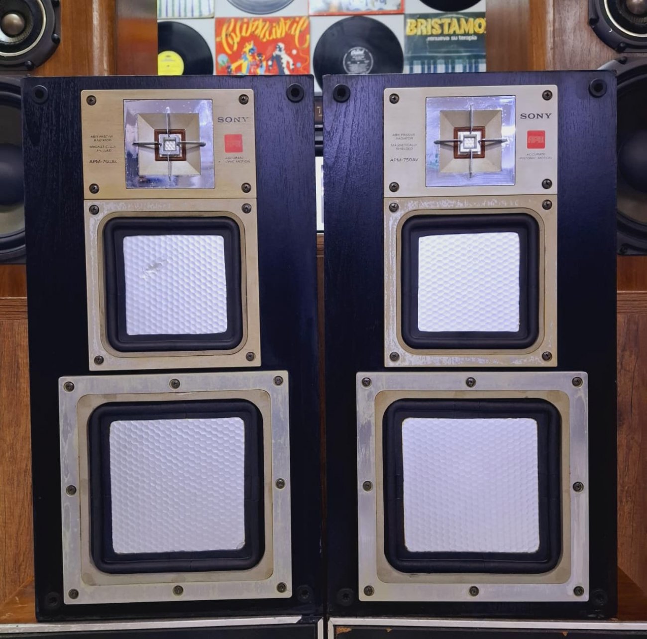 SONY MODELO APM-750AV