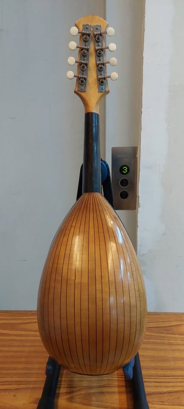 SUSUKI NÚMERO 203