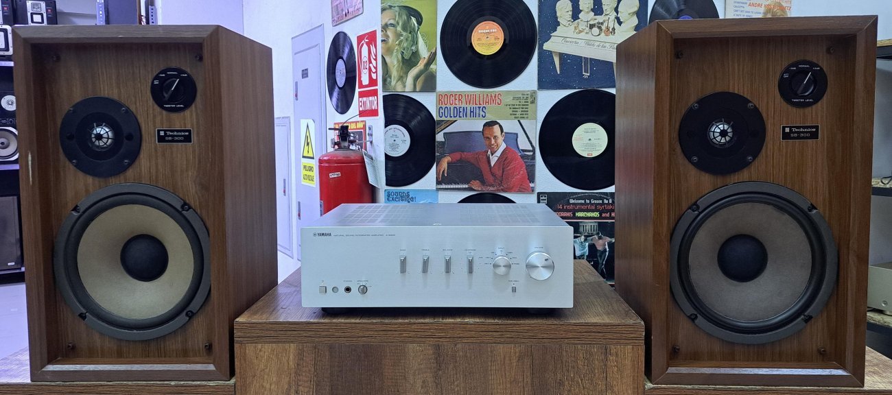 TECHNICS MODELO SB-300