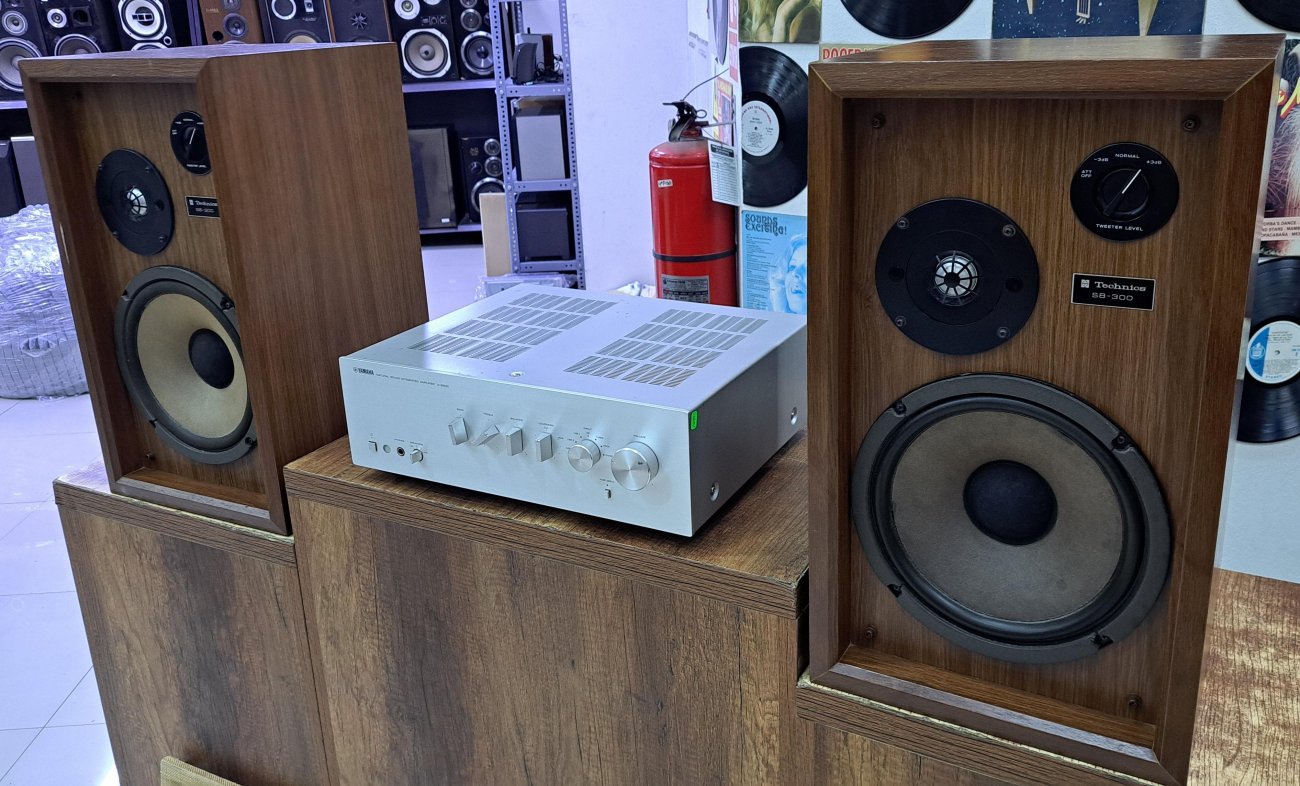 TECHNICS MODELO SB-300