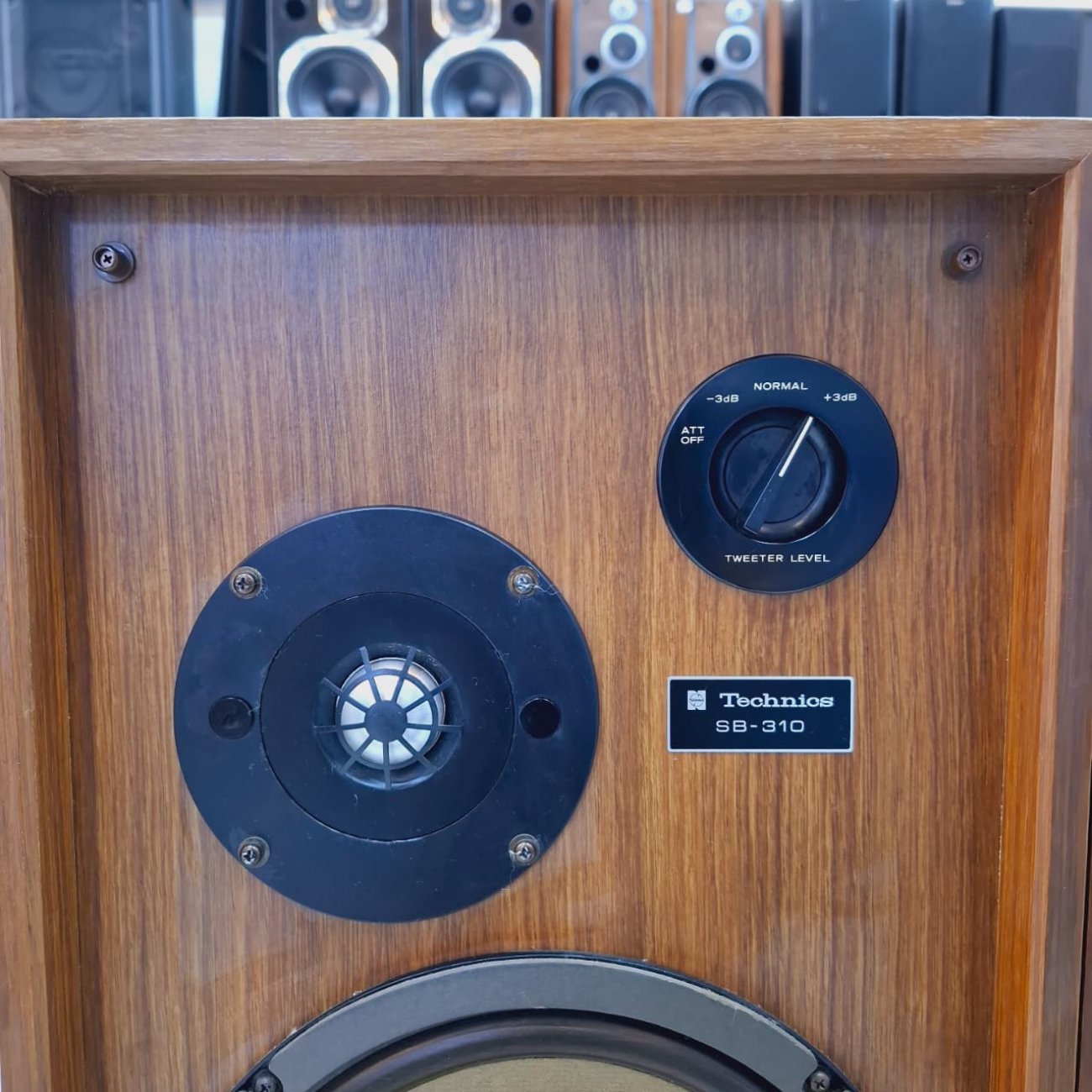 TECHNICS MODELO SB-310