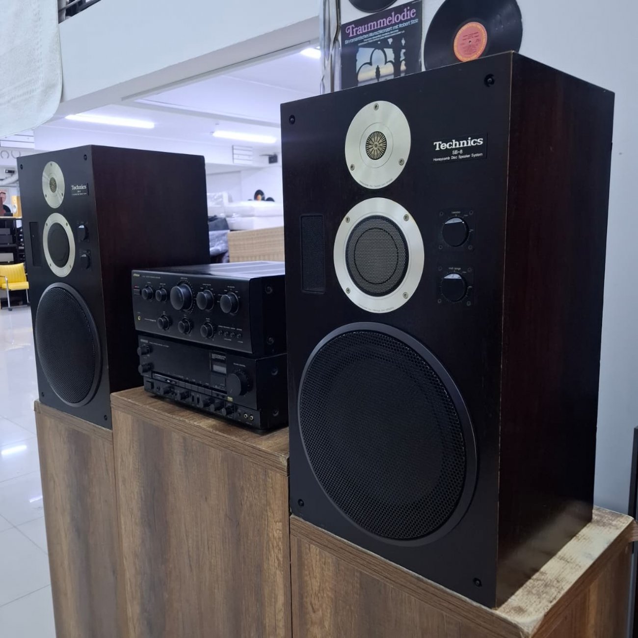 TECHNICS MODELO SB-8