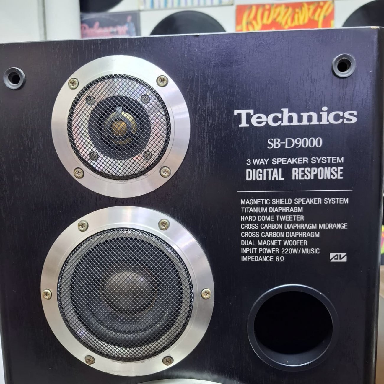 TECHNICS MODELO SB-D9000