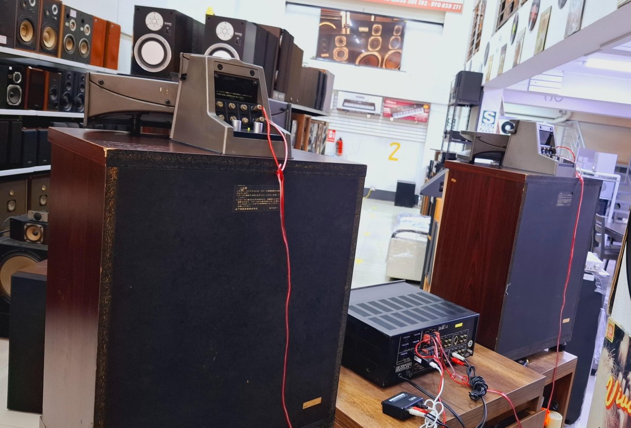 TECHNICS MODELO SB-E100