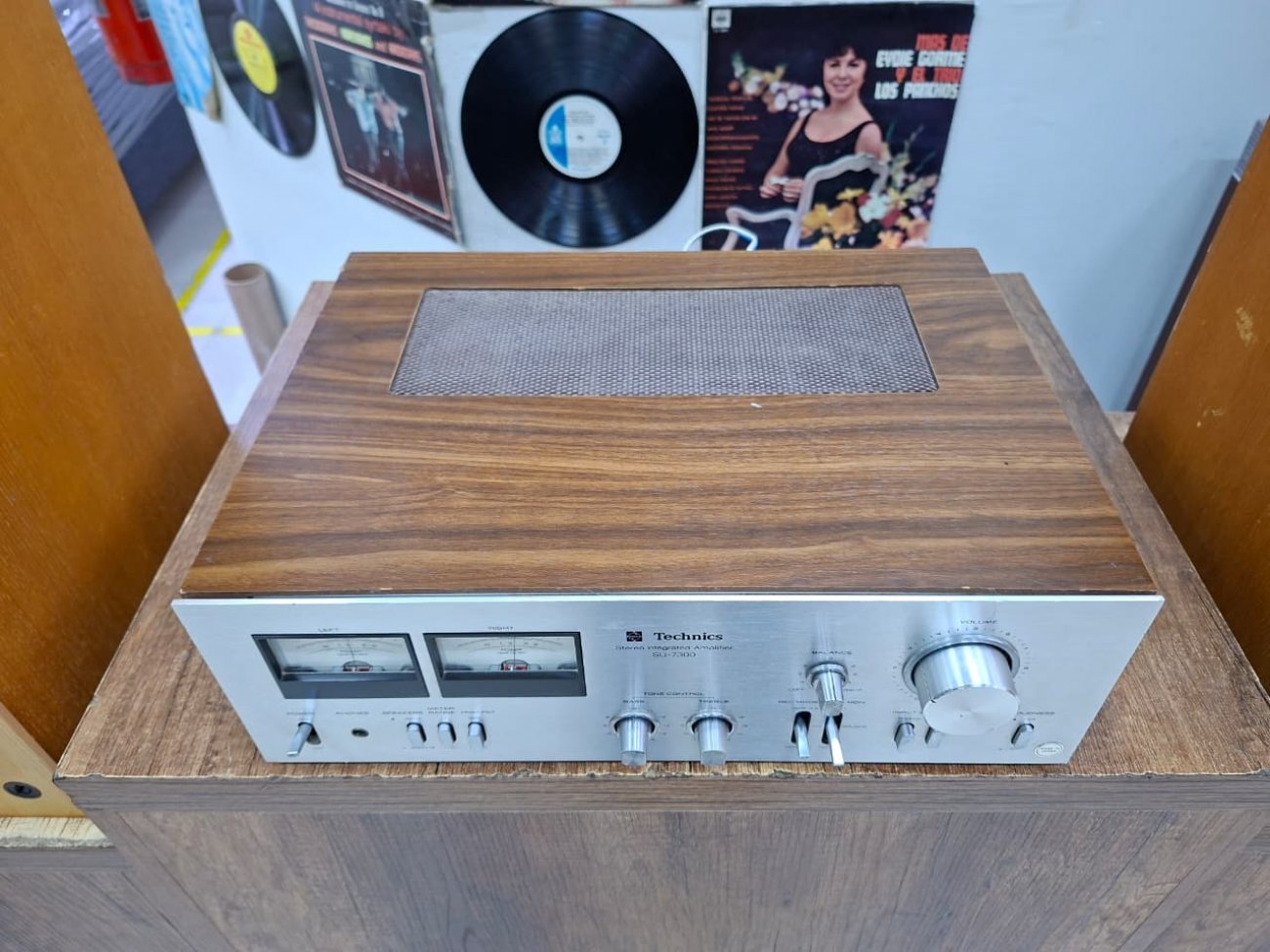 TECHNICS MODELO SU-7300
