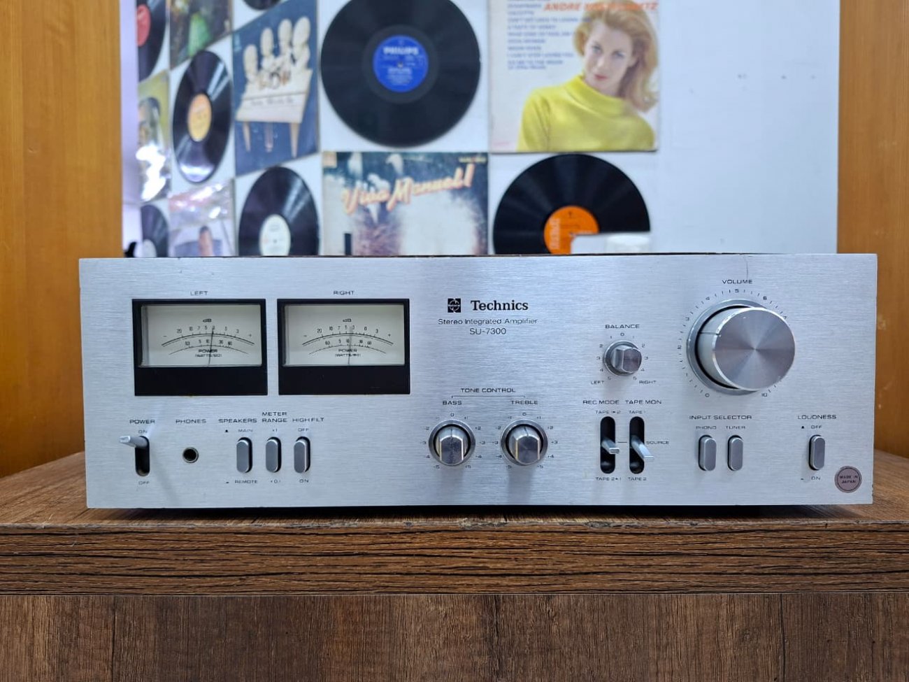 TECHNICS MODELO SU-7300