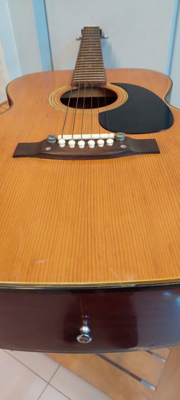TERADA GUITAR MODELO FL-405