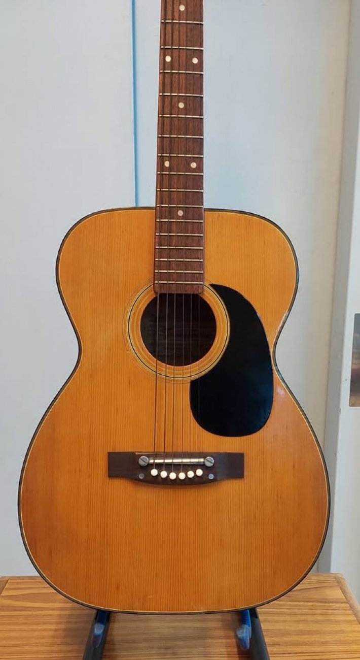 TERADA GUITAR MODELO FL-405