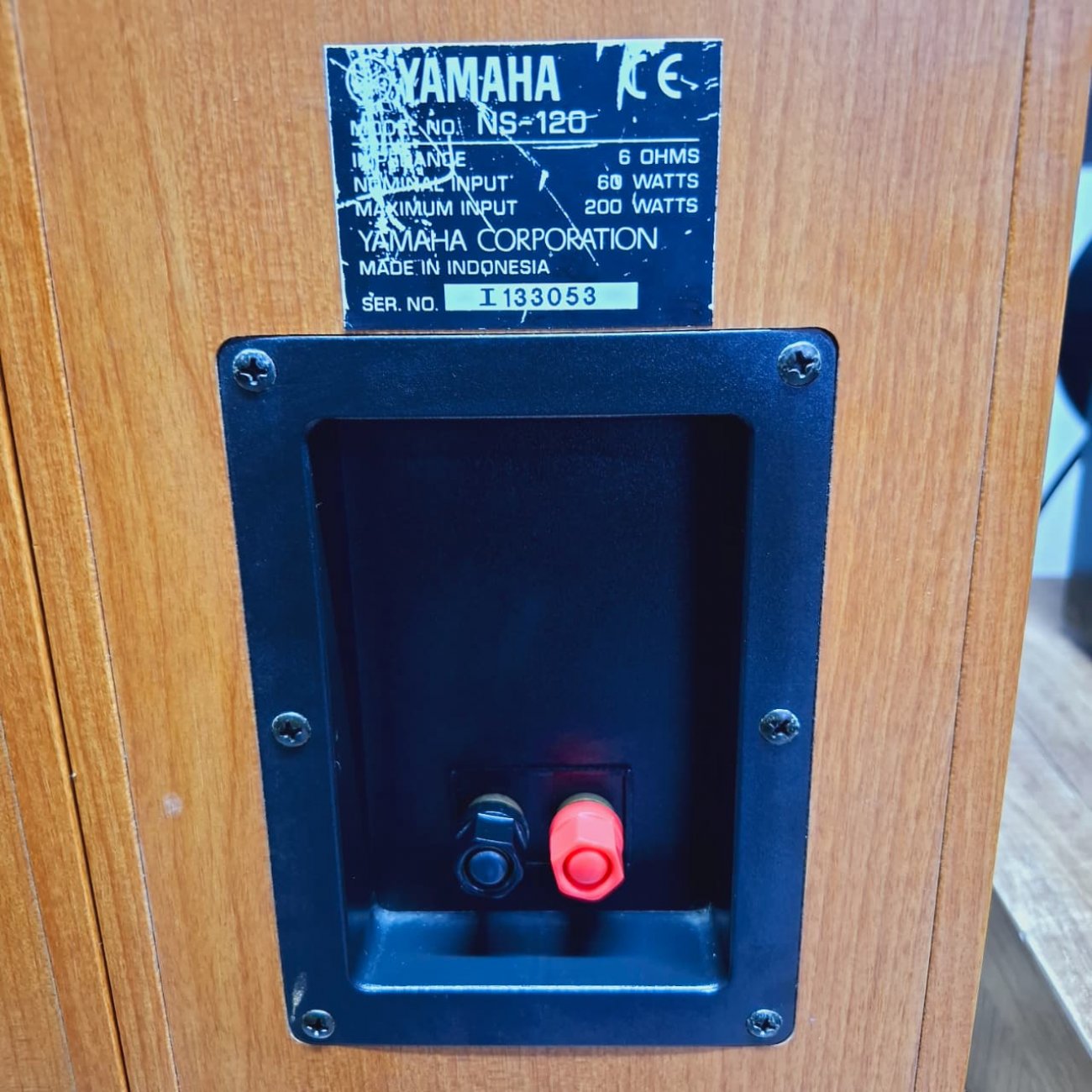 YAMAHA MODELO NS-120