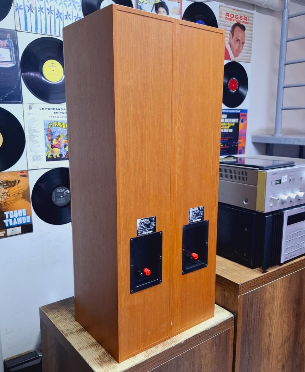 YAMAHA MODELO NS-120