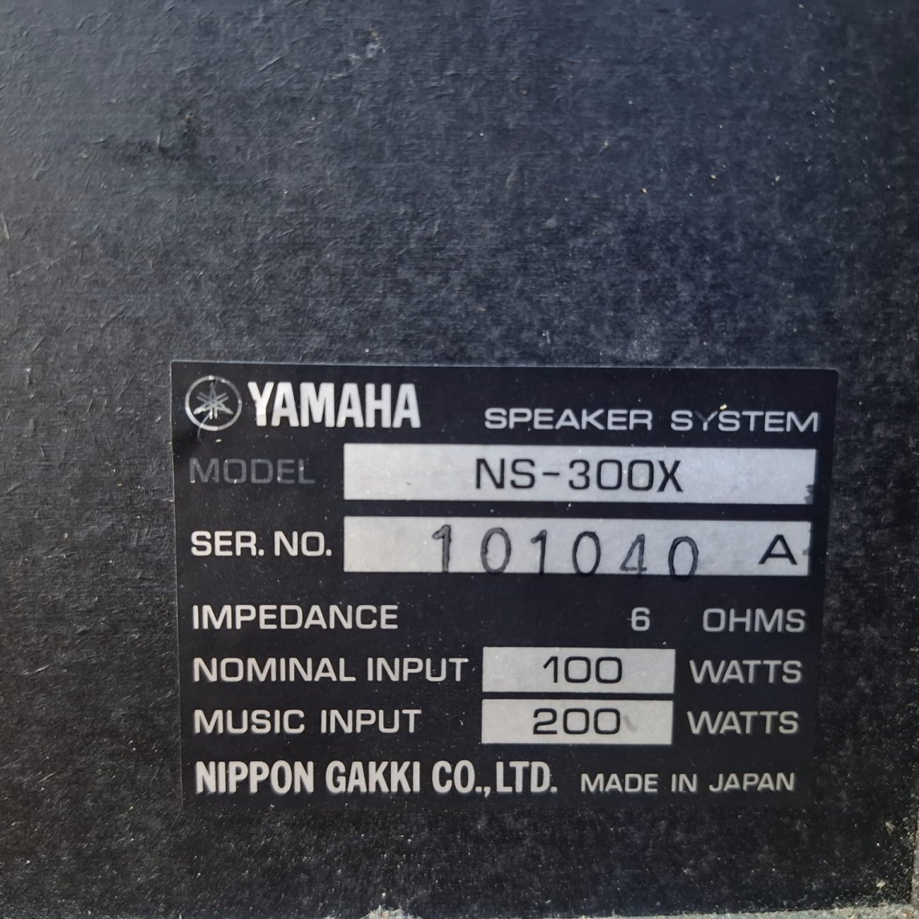 YAMAHA MODELO NS-300X