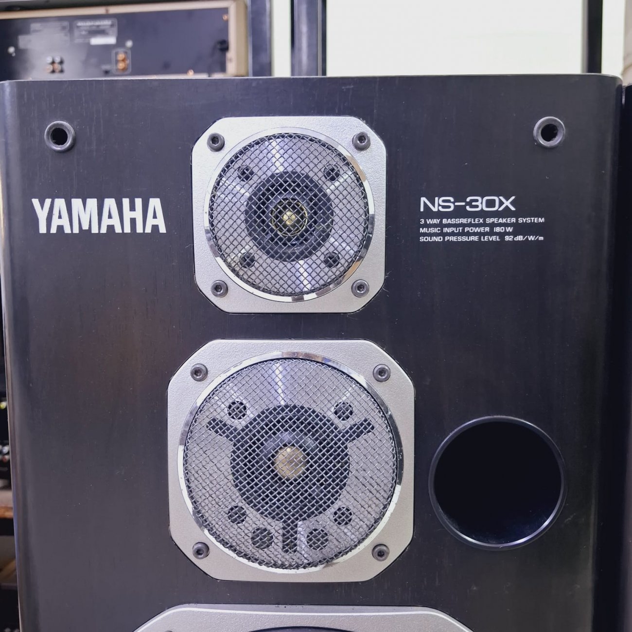 YAMAHA MODELO NS-30X