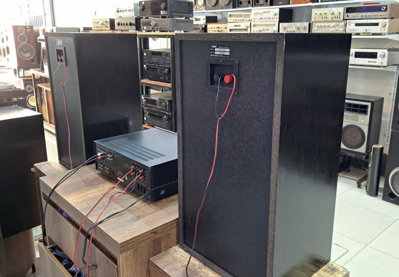 YAMAHA MODELO NS-500M