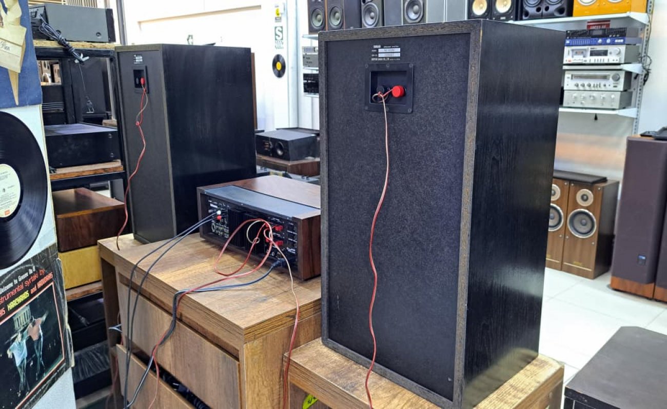 YAMAHA MODELO NS-500M
