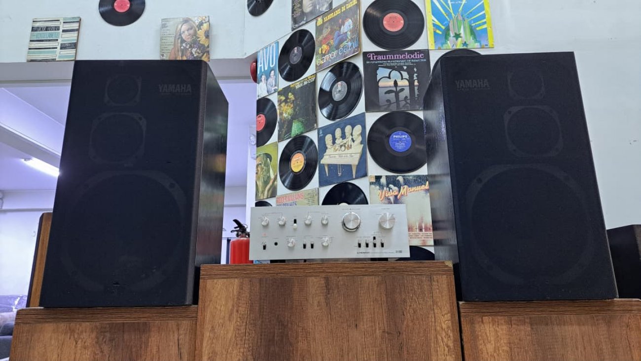 YAMAHA MODELO NS-500M