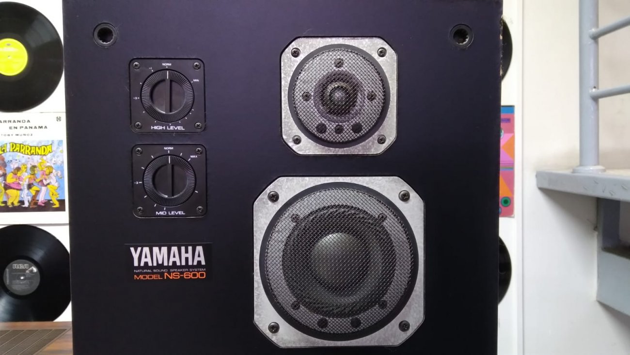 YAMAHA MODELO NS-600