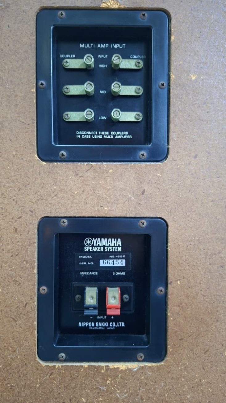 YAMAHA MODELO NS-650