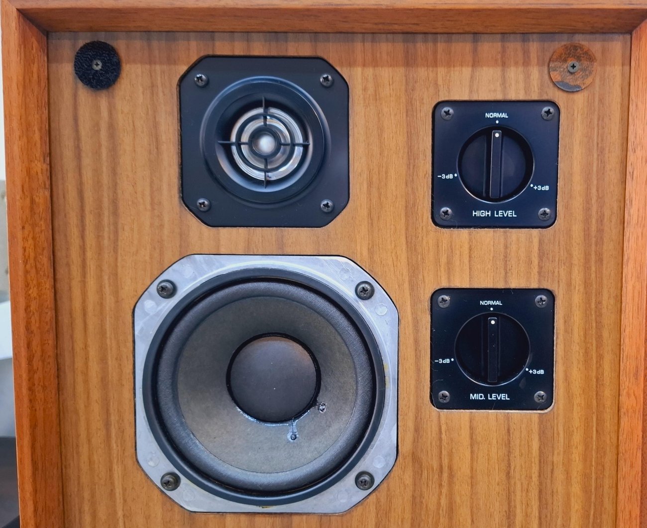 YAMAHA MODELO NS-650