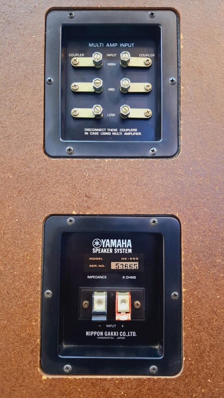 YAMAHA MODELO NS-650