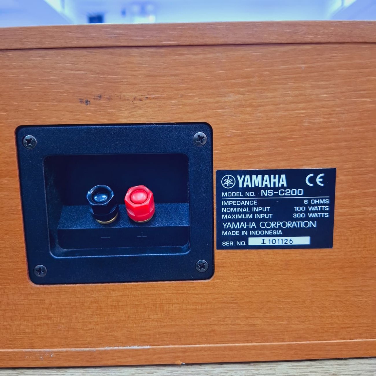 YAMAHA MODELO NS-C200