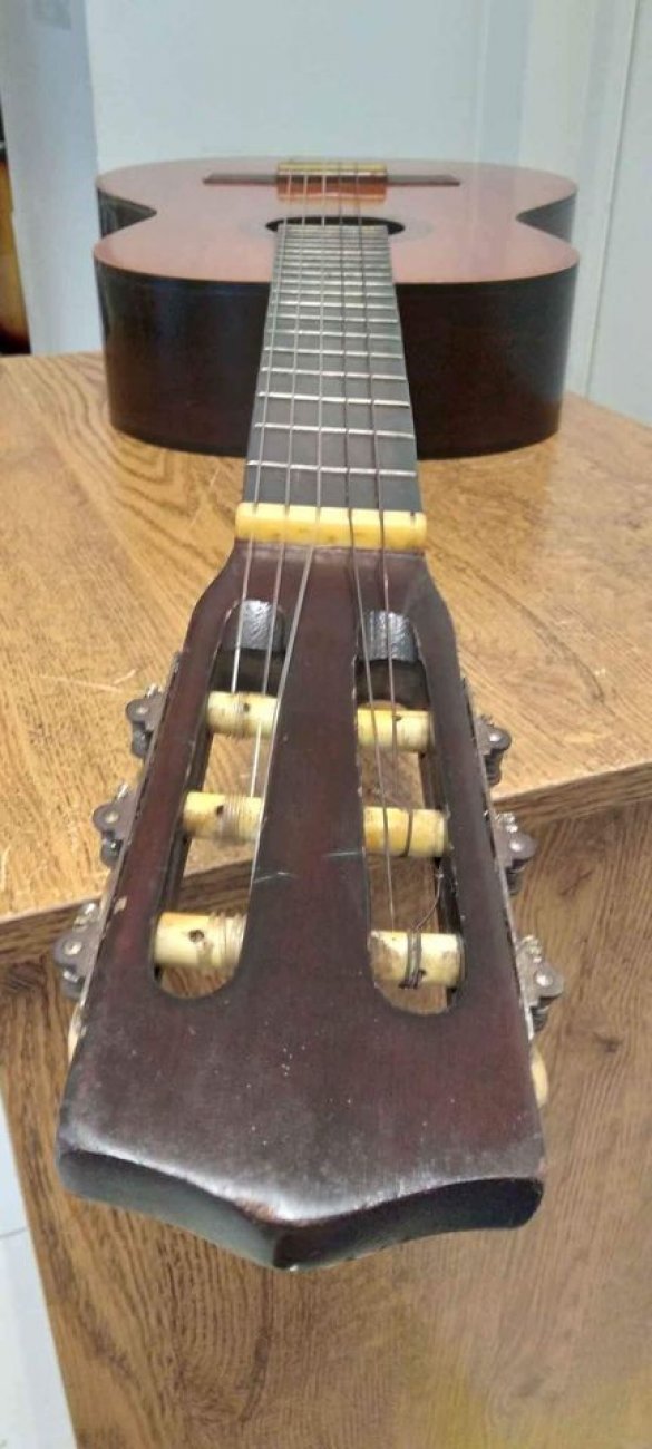 ZEN-ON GUT GUITAR